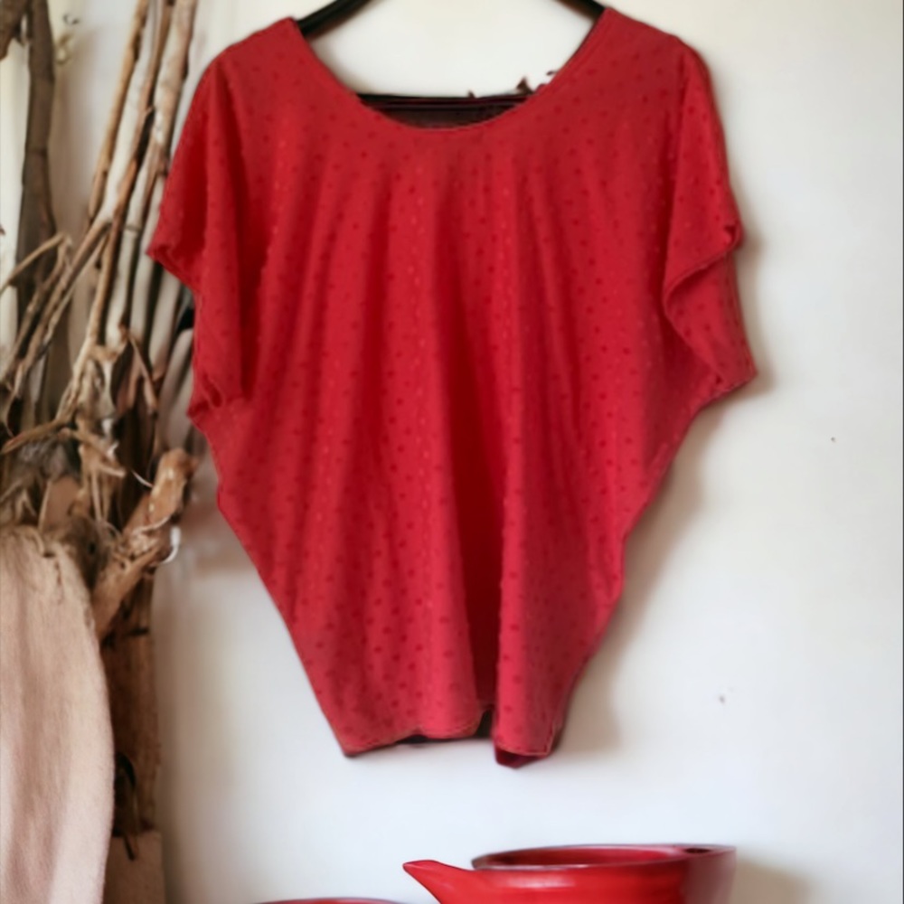 KIM AND CAMI Swiss Dot Top Bat Wing Sleeves Size SMALL - Picture 8 of 13